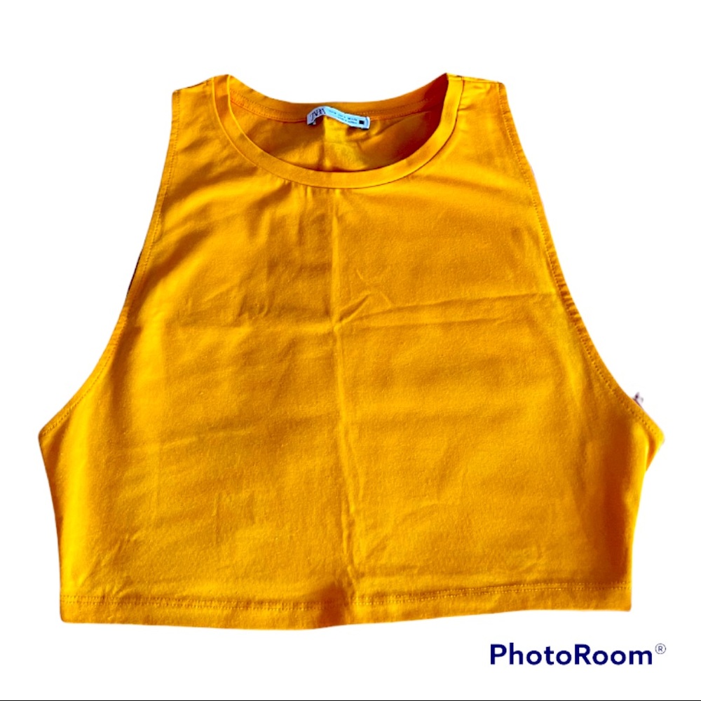 Zara Crop Top